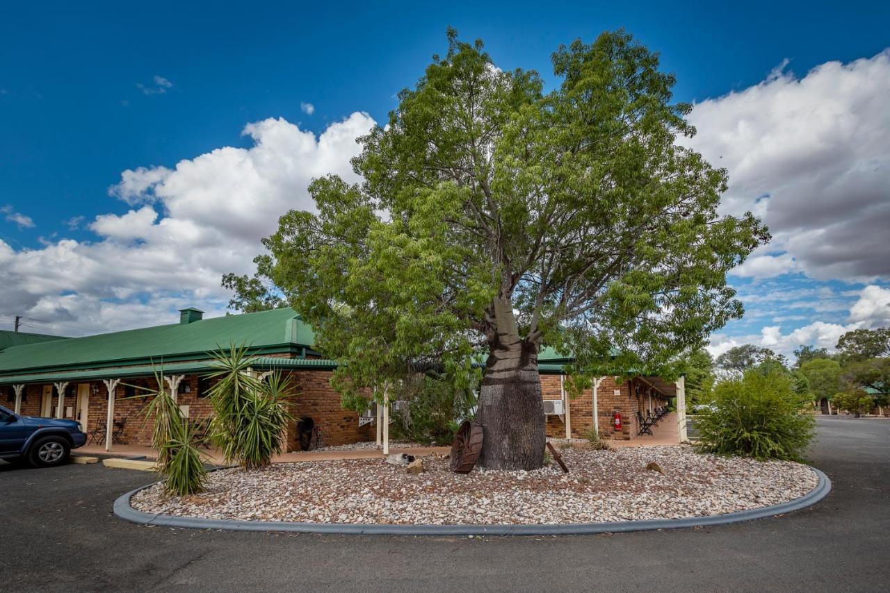 Overlander Homestead Motel Roma Exterior foto